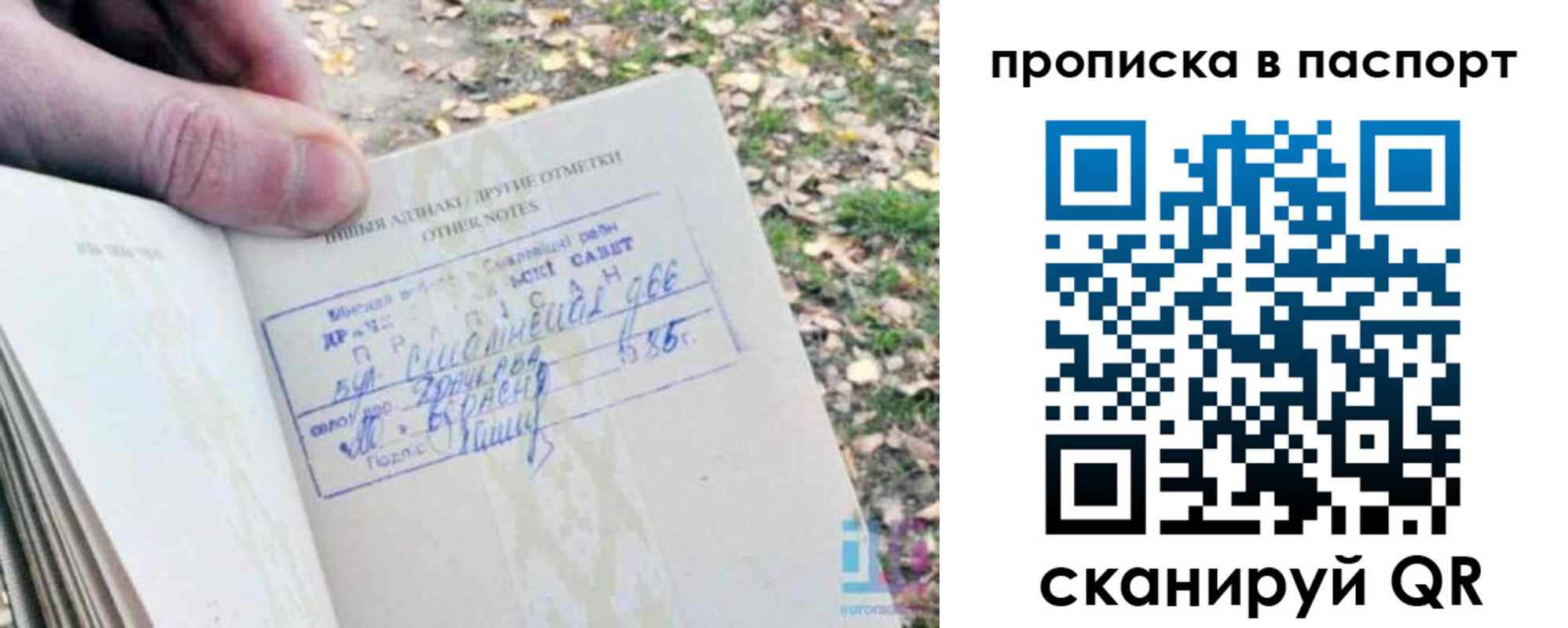 купить прописку в Вязьме